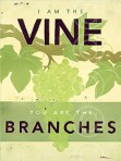 Vine and Branch